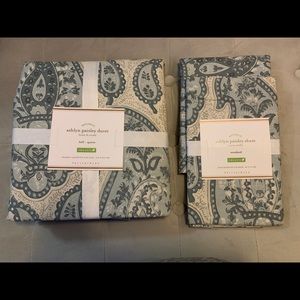 Pottery Barn Ashlyn Duvet and Shams